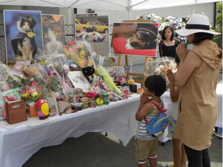 日本萌猫站长葬礼3000余人参加和歌山县将为其立铜像