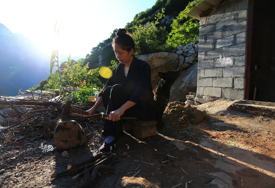终南山女道长的隐士生活曾尝草中毒自配解药