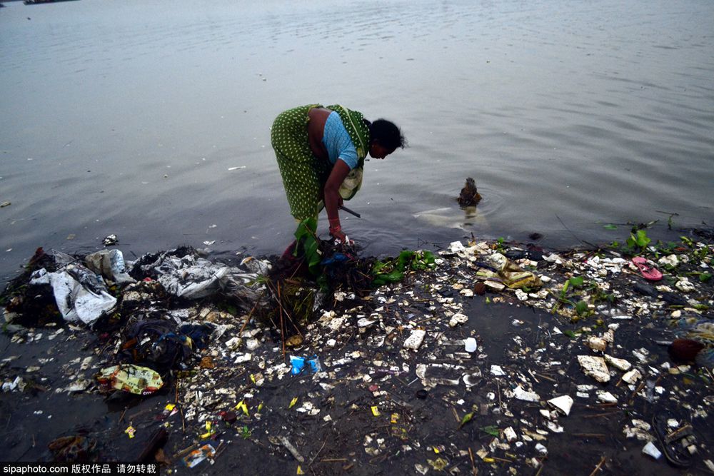 印度恒河污染严重信徒圣浴垃圾飘满河岸