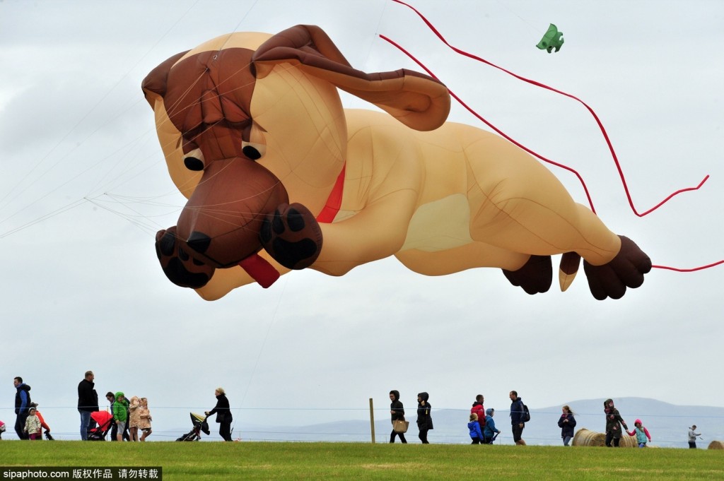 英国downhilldemesne风筝节演绎空中动物世界
