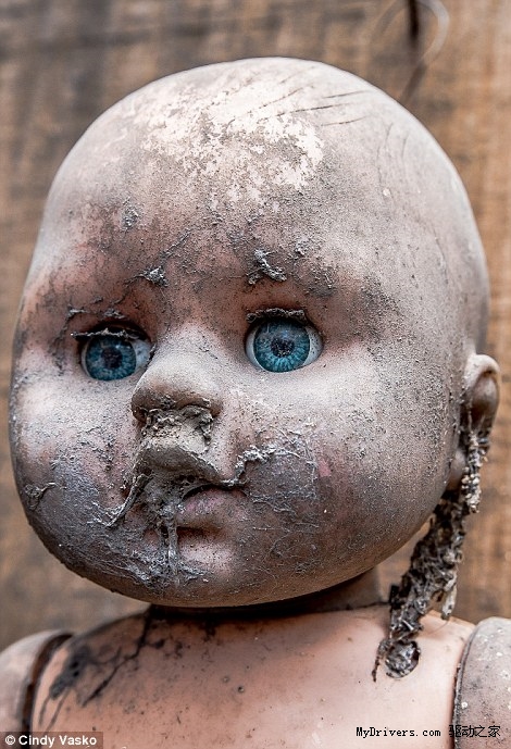 十大恐怖娃娃的故事图片