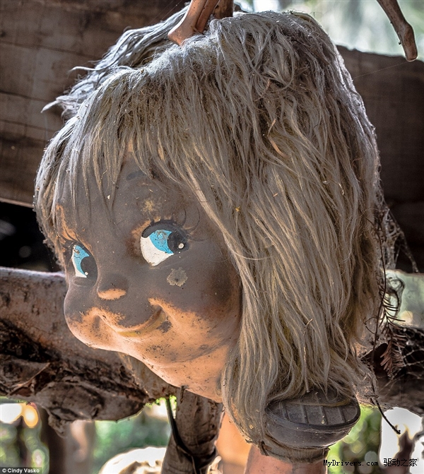 胆小莫入探访墨西哥恐怖的娃娃森林