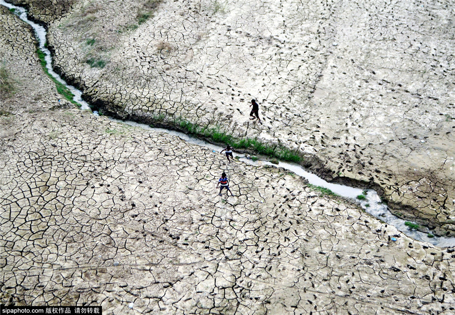 印度遭遇严重旱灾土地龟裂