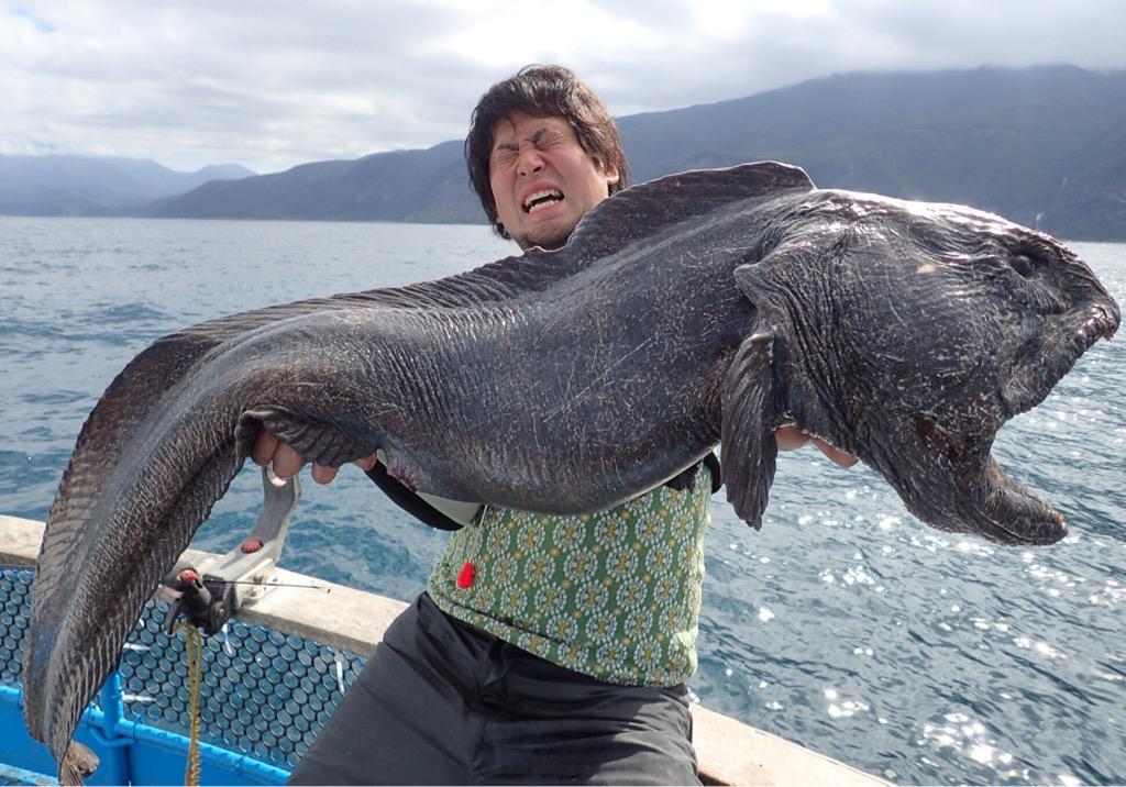 日本渔民福岛附近捕获怪鱼引发生物变异担忧