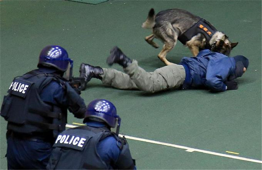 东京警视厅首次公开实弹射击训练 迎接伊势志摩峰会