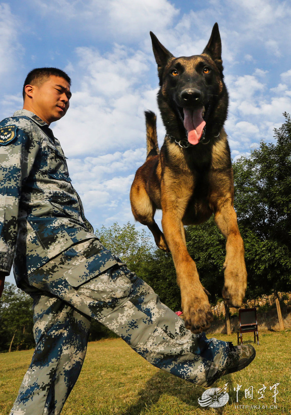 空軍軍犬訓練有素會解救人質