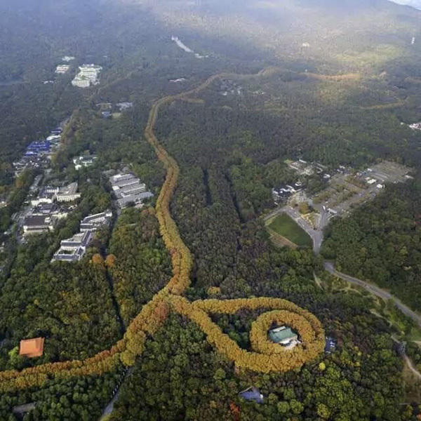 南京美龄宫现最美项链景观刷爆朋友圈