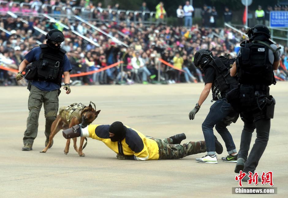 香港飞虎队装备精良武装到牙齿