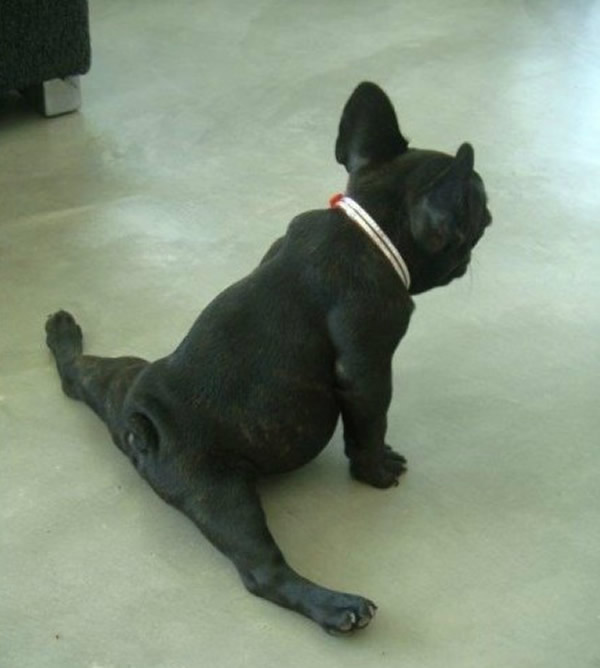 一字马美少女健身瘦20斤能把自己装行李箱