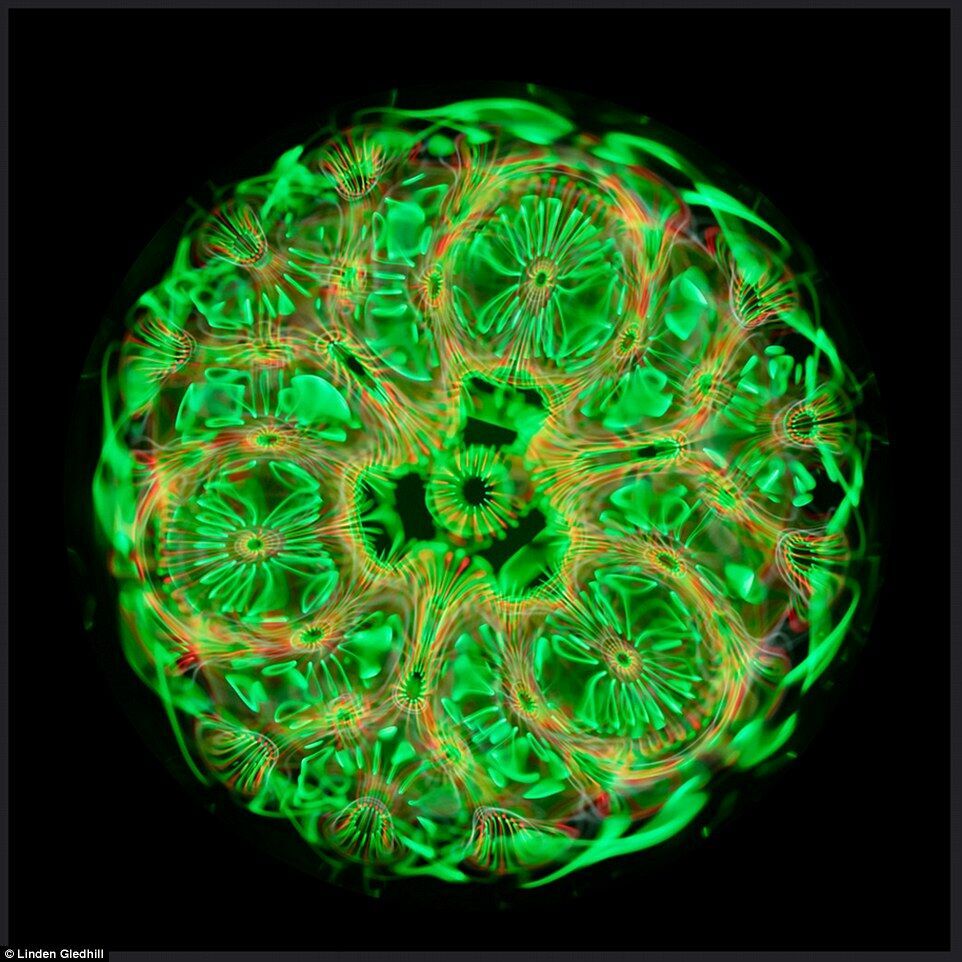 艺术家通过科技和智慧打破了听觉和视觉的界限,带我们探寻了微观世界