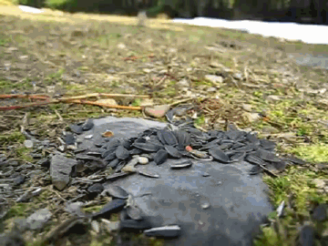 360_270gif 动态图 动图