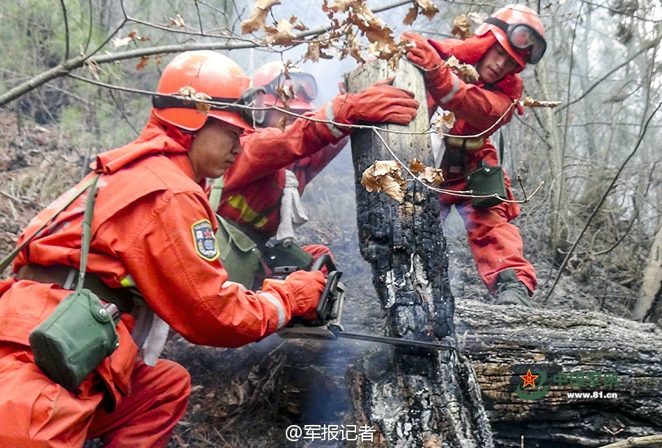 而武警森林部队则是那支保护生态的近卫军,哪里有森林火灾哪里就有