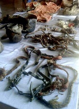 蒙古国发现1500年前突厥女性木乃伊(组图)