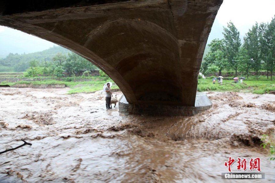 河南济源山洪爆发 消防队员救人又救羊