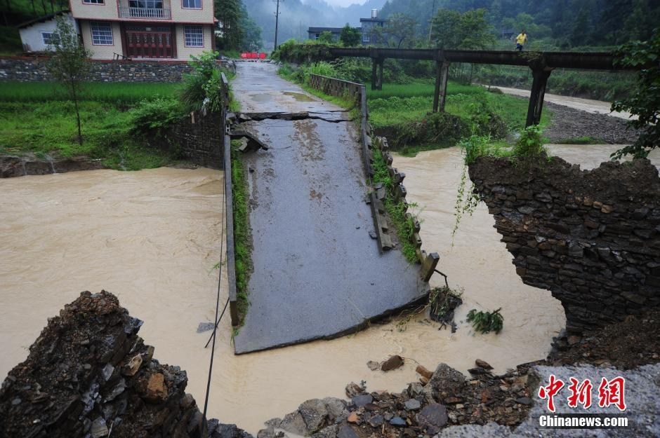 重庆遭暴雨袭击 肥猪被冲跑淹死