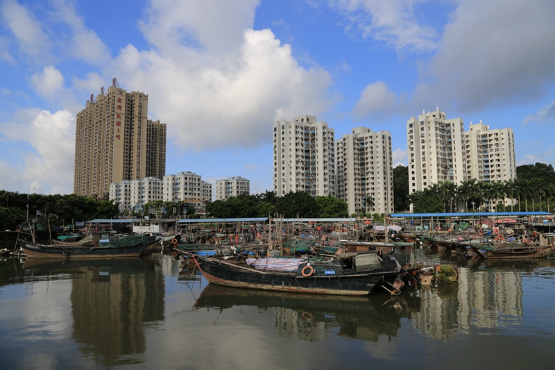 谢文玉/摄 南海伏季休渔,渔民暂别风里来浪里去的日子,虎门镇新湾渔港