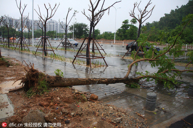 2016年7月27日,台风"银河"过境海南后,三亚街头一片狼籍.