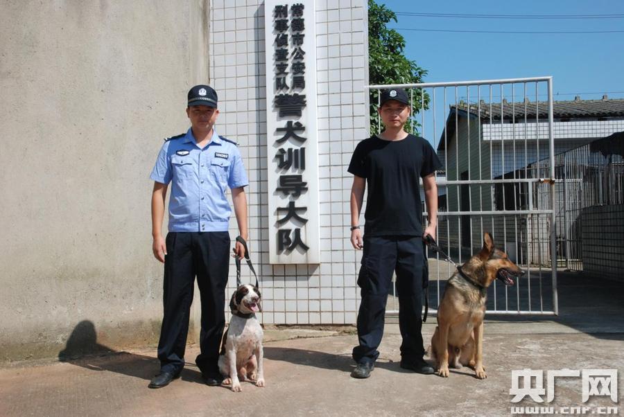 北京公安局警犬基地图片
