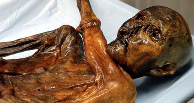 6 新发现!5300年前冰人已经知道穿皮草