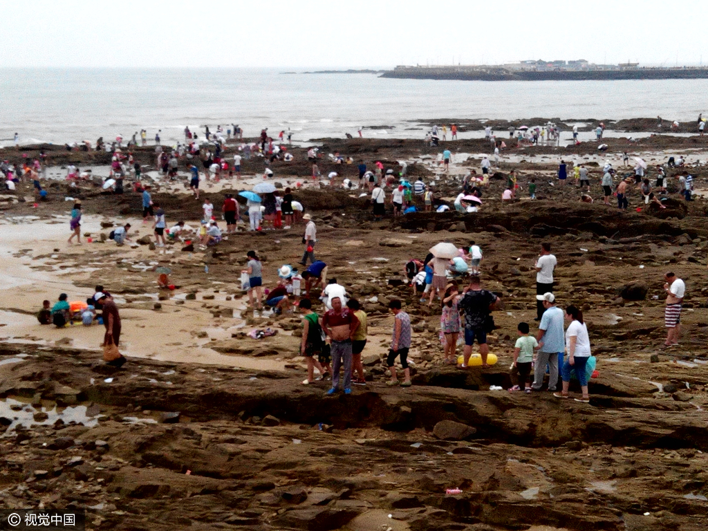 4 山东日照退大潮 千人赶海场面壮观
