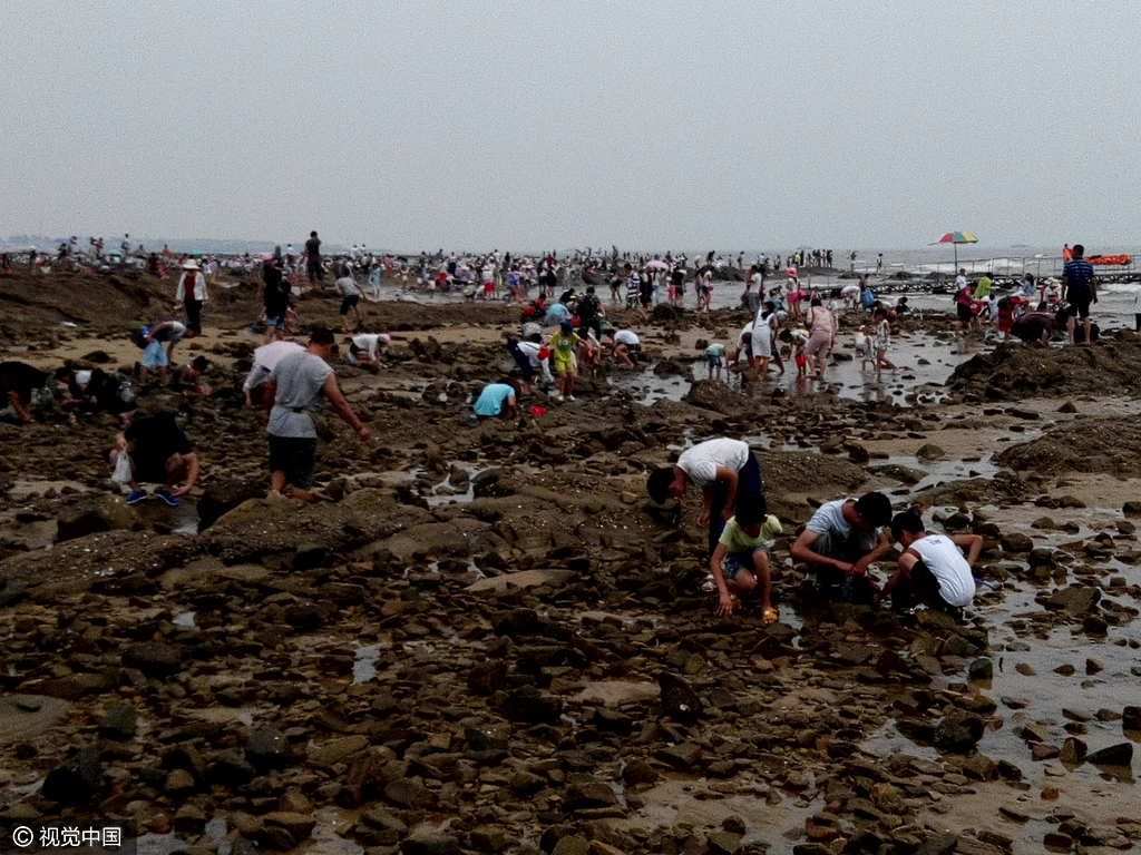4 山东日照退大潮 千人赶海场面壮观