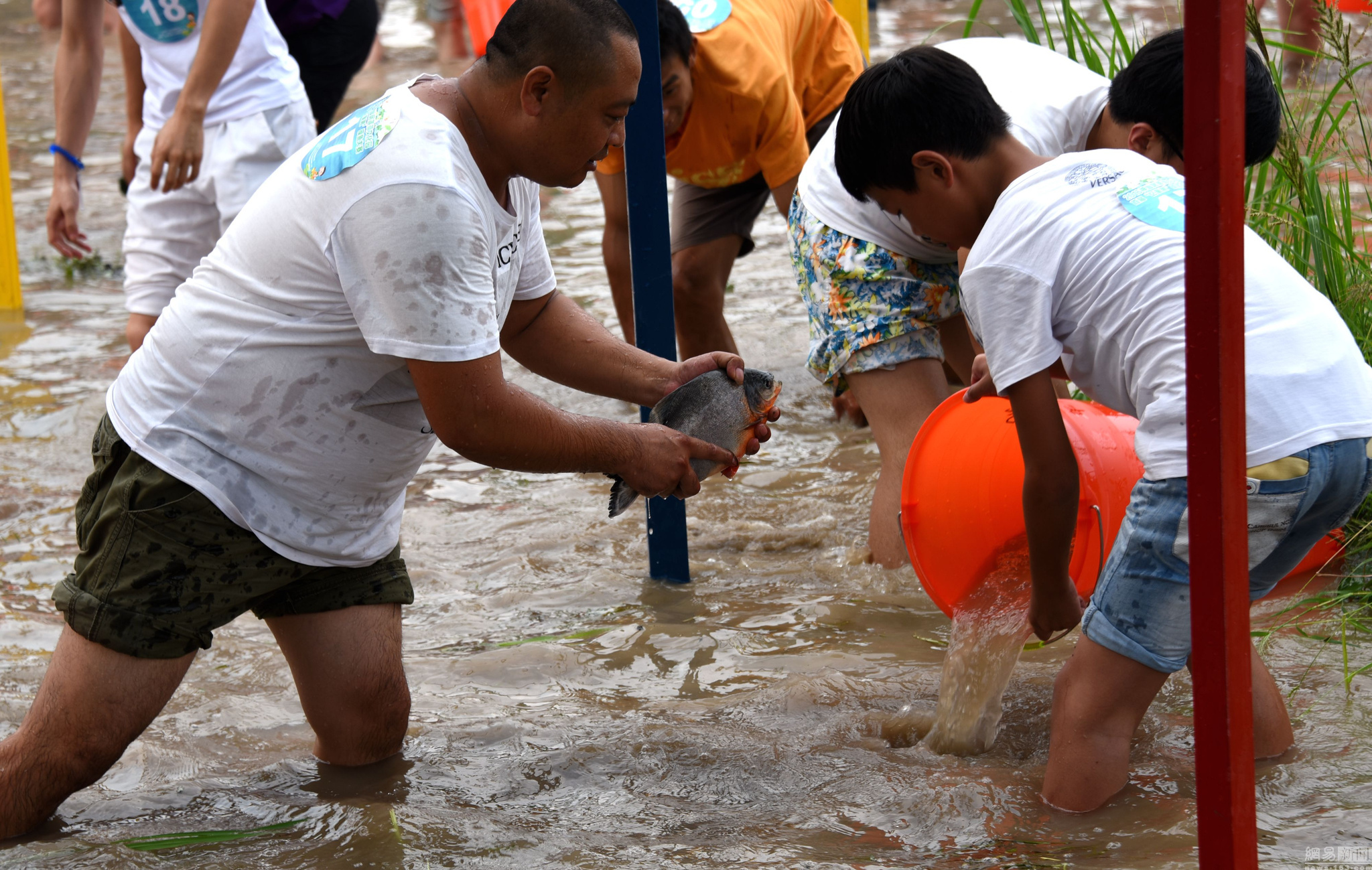 浙江台州游客裸腿下鱼塘体验浑水摸鱼
