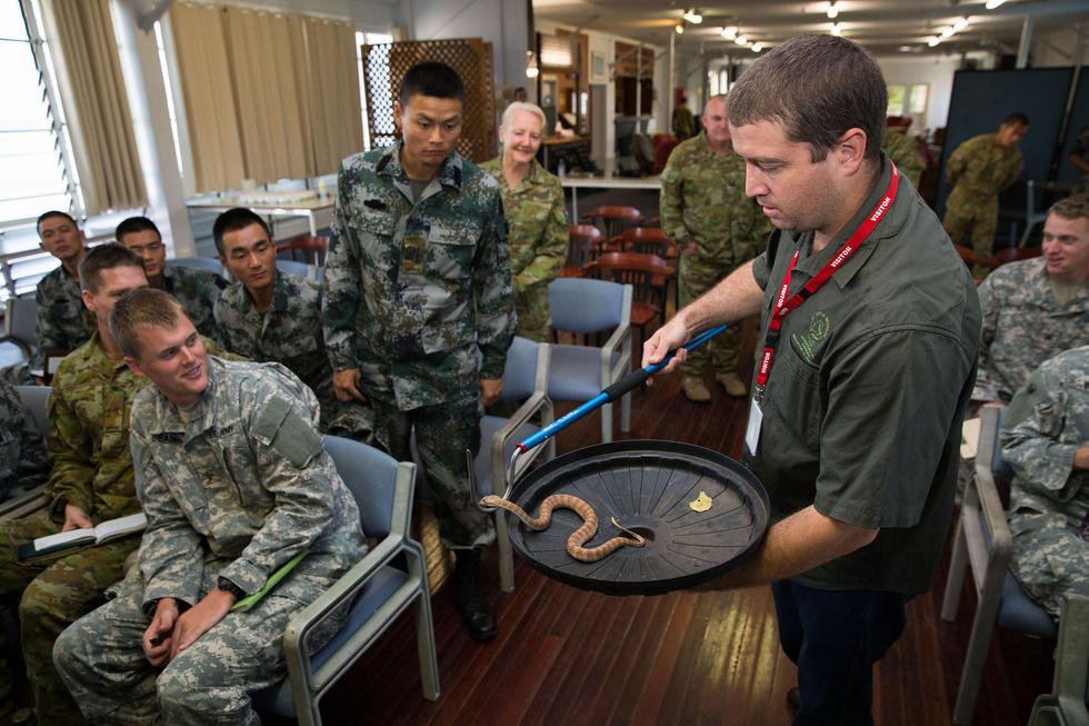 中美澳联训 我战士大胆戳鳄鱼