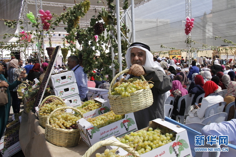 巴勒斯坦举办一年一度葡萄节