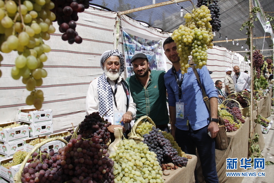 巴勒斯坦举办一年一度葡萄节