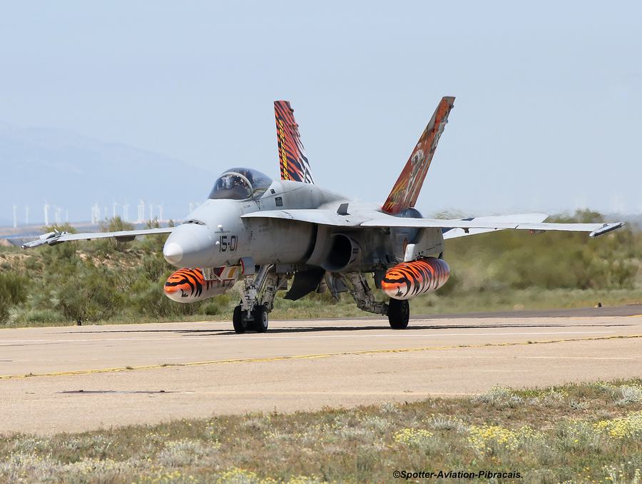 西班牙f18战斗机虎纹很霸气