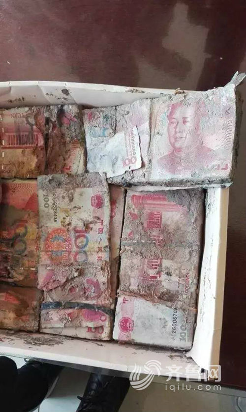 自家院里挖个土坑,再把辛苦赚来的7万块钱用铁盒装好,上边盖好,老张