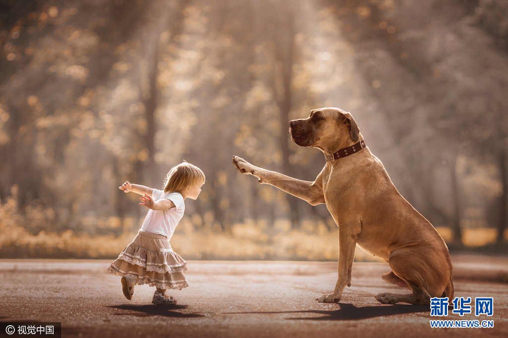 最萌身高差俄大狗和小孩互动超有爱组图