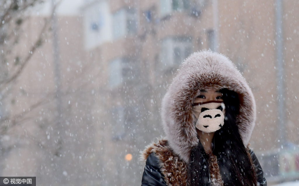 2016年11月30日,辽宁省沈阳市,一场中雪光临沈