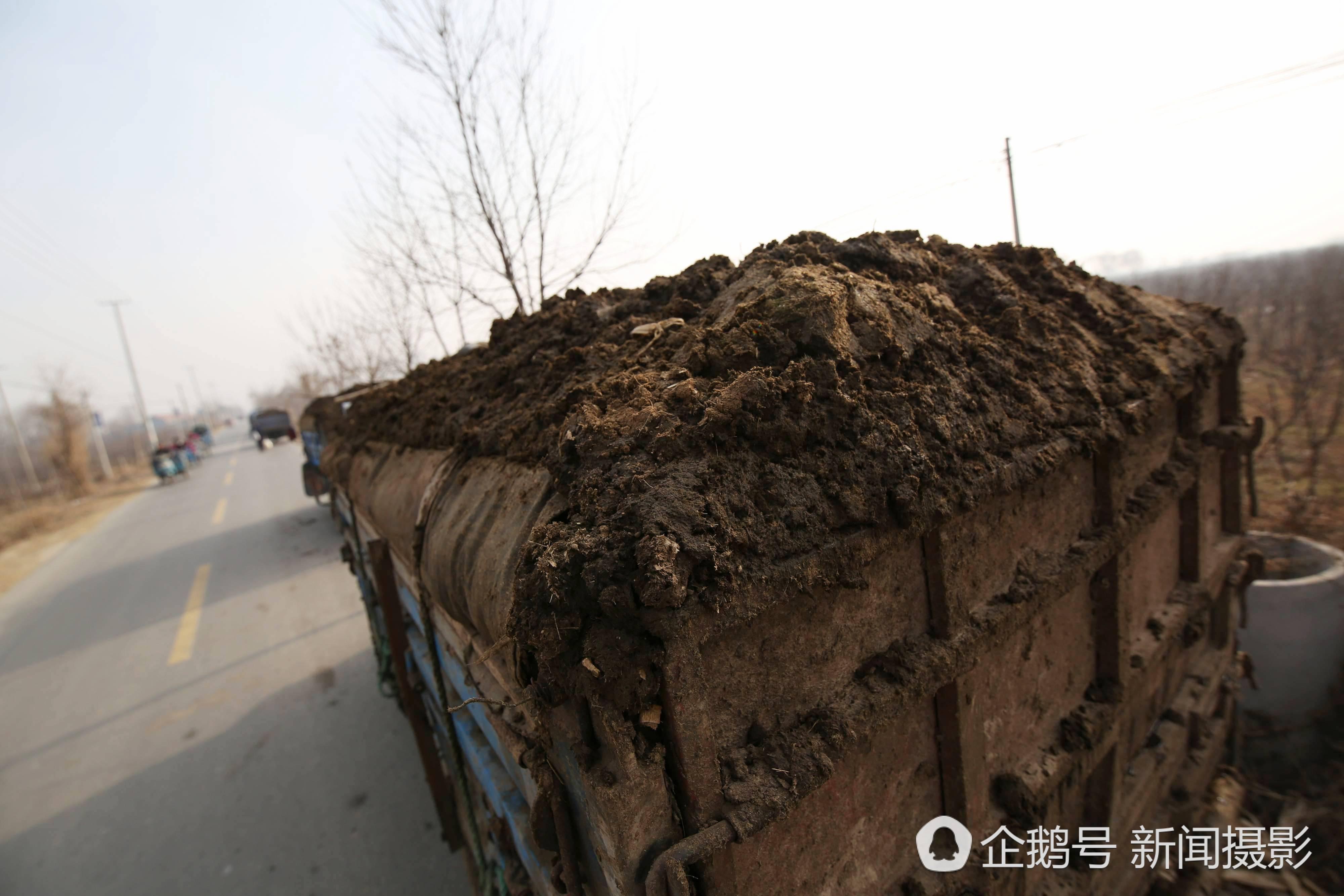 臭气熏天的家畜粪便令人生厌,但在农村地区,有人瞅准了这一商机,靠