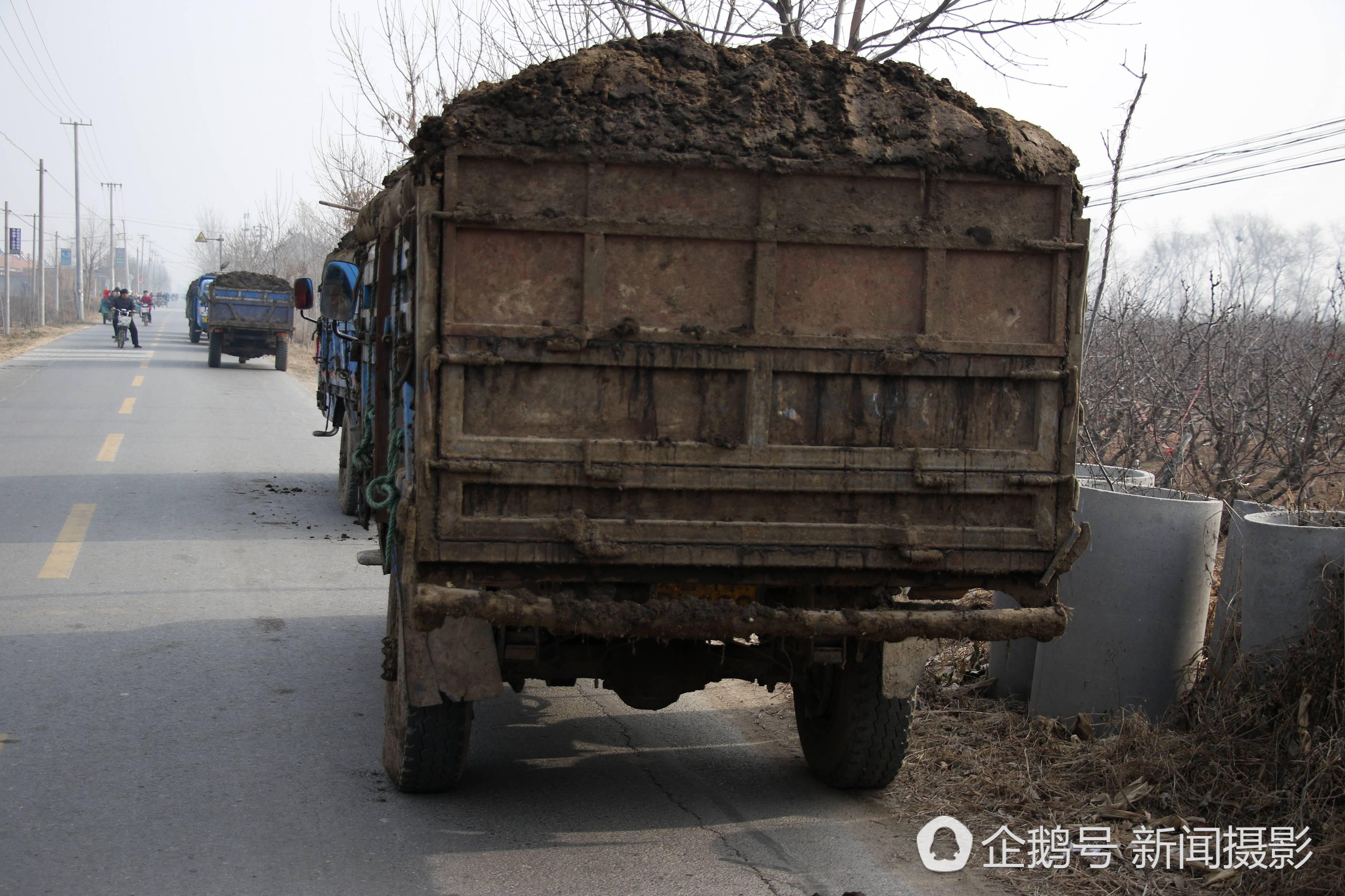 农民靠倒卖牛粪发家致富 年入10万