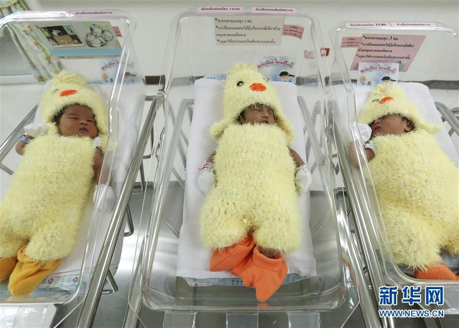 泰国曼谷婴儿身着小鸡装迎接新年