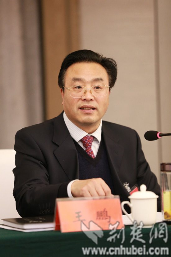 襄阳市人大代表,南漳县委书记王鹏介绍南漳今后发展.