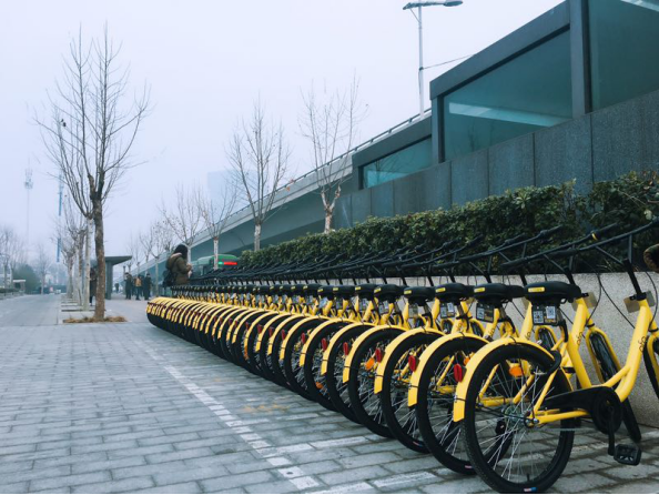绿城郑州迎来ofo小黄车 首批投放5万辆押金仅99元