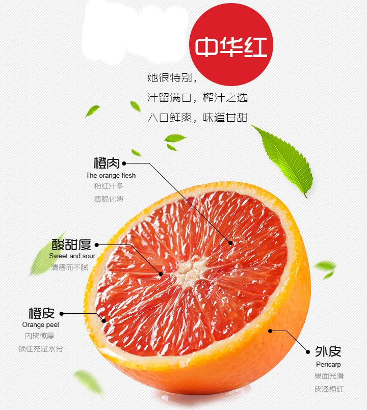 荆楚年味秭归中华红橙如初恋般酸甜的滋味