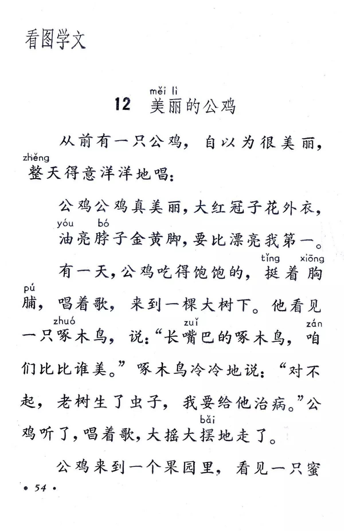 《美丽的公鸡》丨那些年,我们一起读过的课文