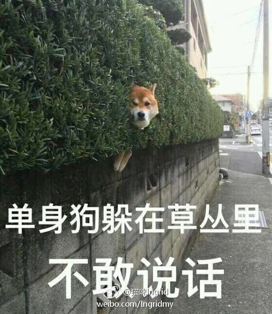面对女朋友的突然撒娇,男朋友们只想用小拳拳打死自己