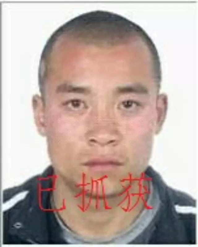 公安部a级通缉令通缉人员朱彦辉向河南省公安机关投案自首
