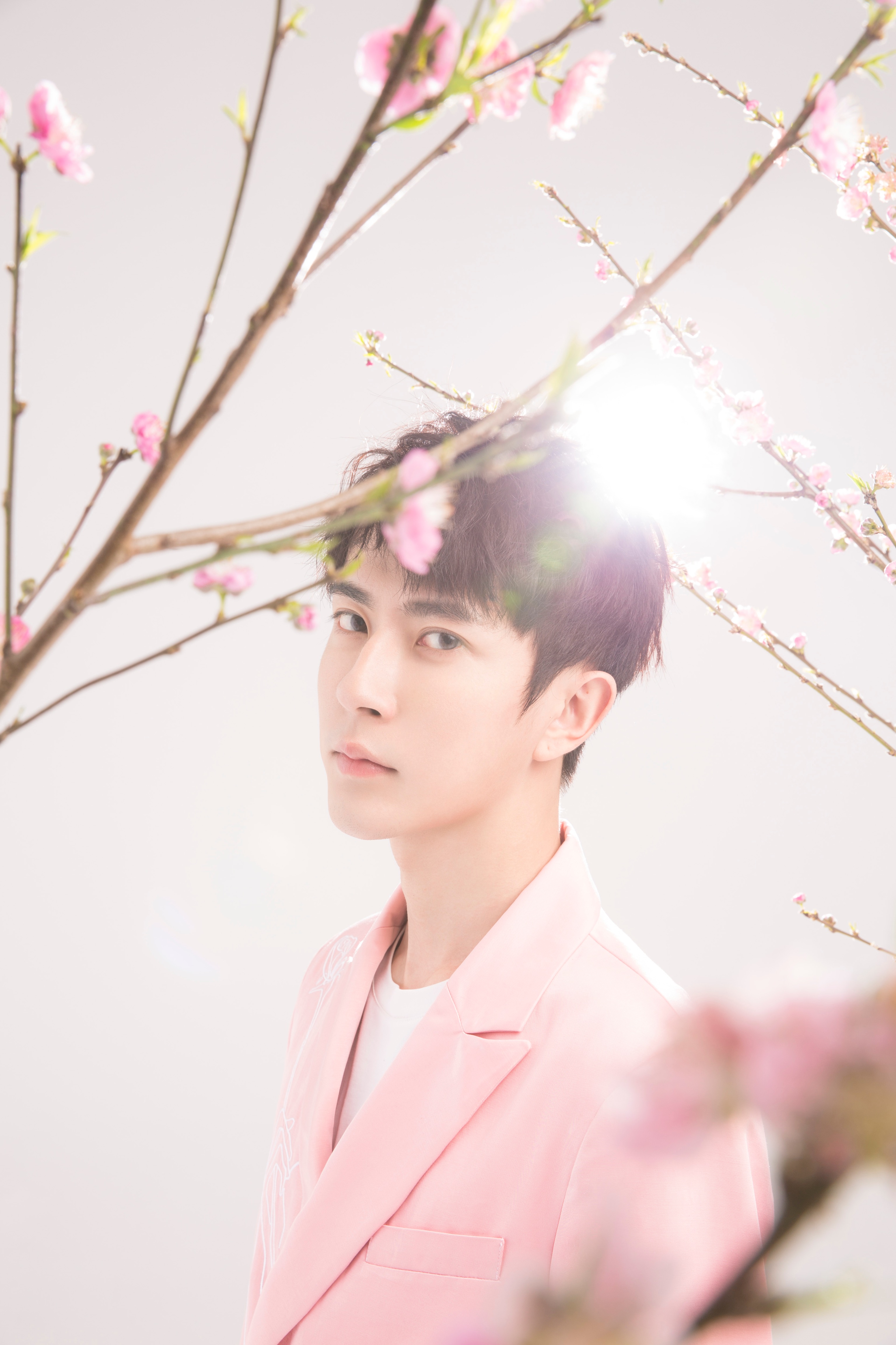 于朦胧情人节桃花写真大片