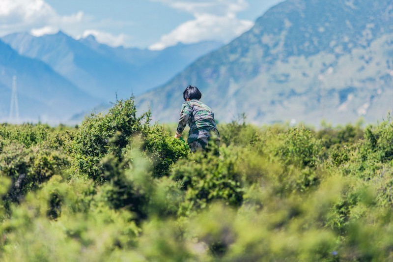 图说|平凡而美丽,坚守在西藏的高原女兵