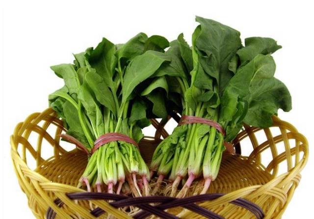 菠菜根红叶绿,鲜嫩异常,最为可口;最重要的是它富含叶酸,vc,膳食纤维