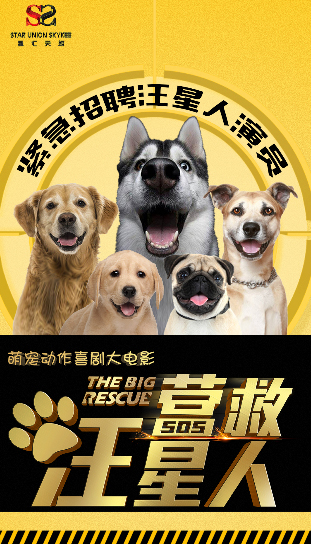 中国犬类电影图片