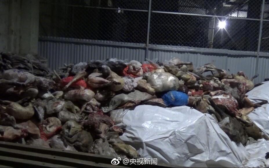 不法分子猎杀千只野生动物被捕