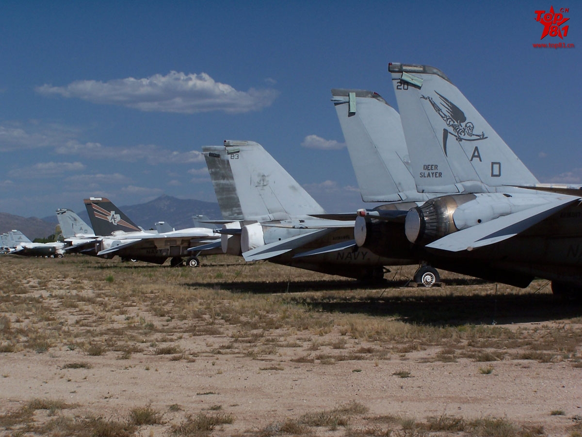 美国的戴维斯.蒙森空军基地集中销毁退役f-14"雄猫"战斗机.
