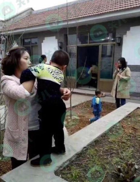 高圆圆回老家祭祖照片图片