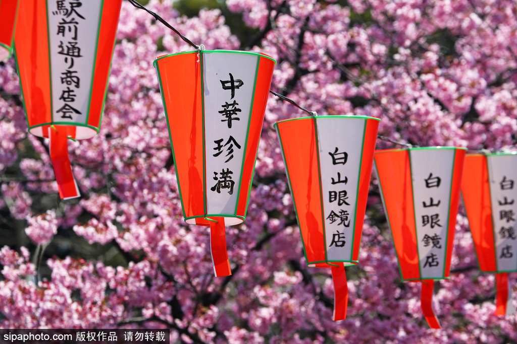 东京上野公园樱花烂漫民众春天郊游赏花